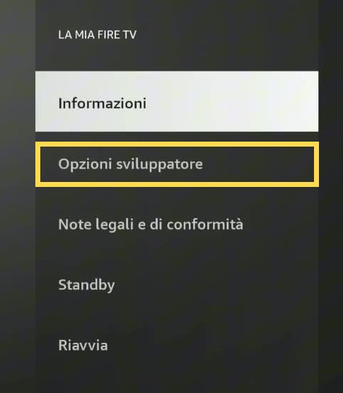 Apri Opzioni sviluppatore — area da selezionare evidenziata in giallo.